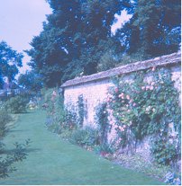 Walled Garden Walled Garden
