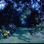 scan0007