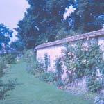 scan0010