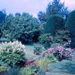 scan0011