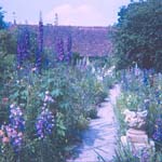 scan0014