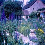 scan0015