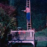 scan0017