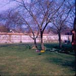 scan0018