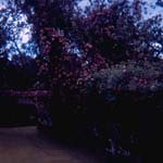 scan0019