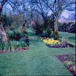 scan0022