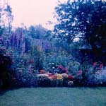 scan0024