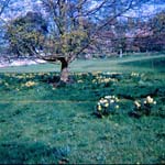 scan0026