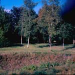 scan0034